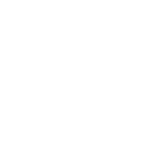 Liquor store POS system icon representing Auto-Star’s Star-Plus point of sale for liquor retailers.